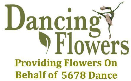 5678 School of Dance