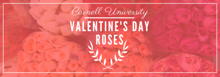 Cornell University Valentines Day