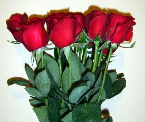 Six Bundled Red Roses