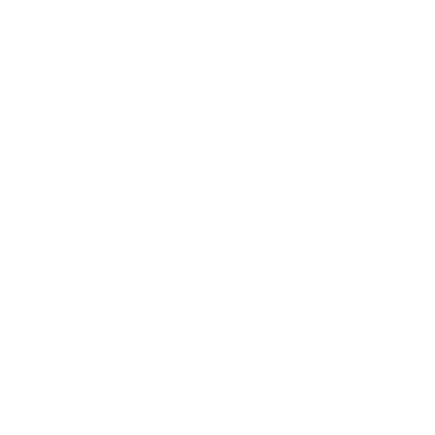 Can Dance Academy