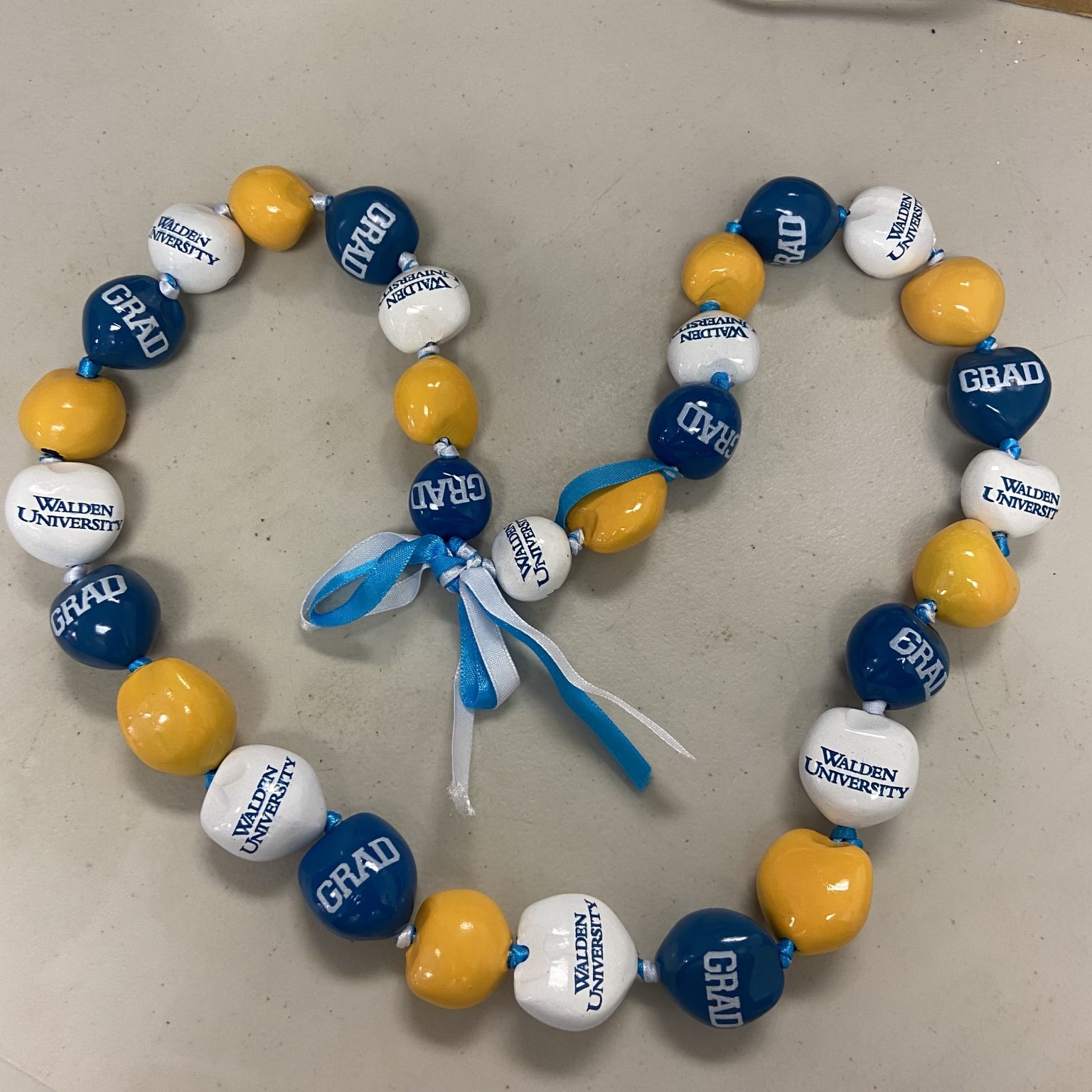 Walden University Commencement Orlando GRAD CAT COVERS_final