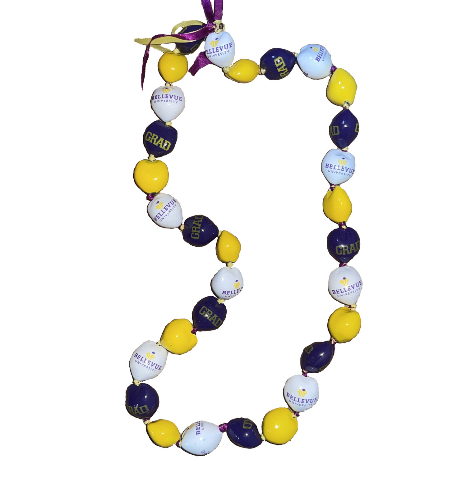 Bellevue University Commencement Group