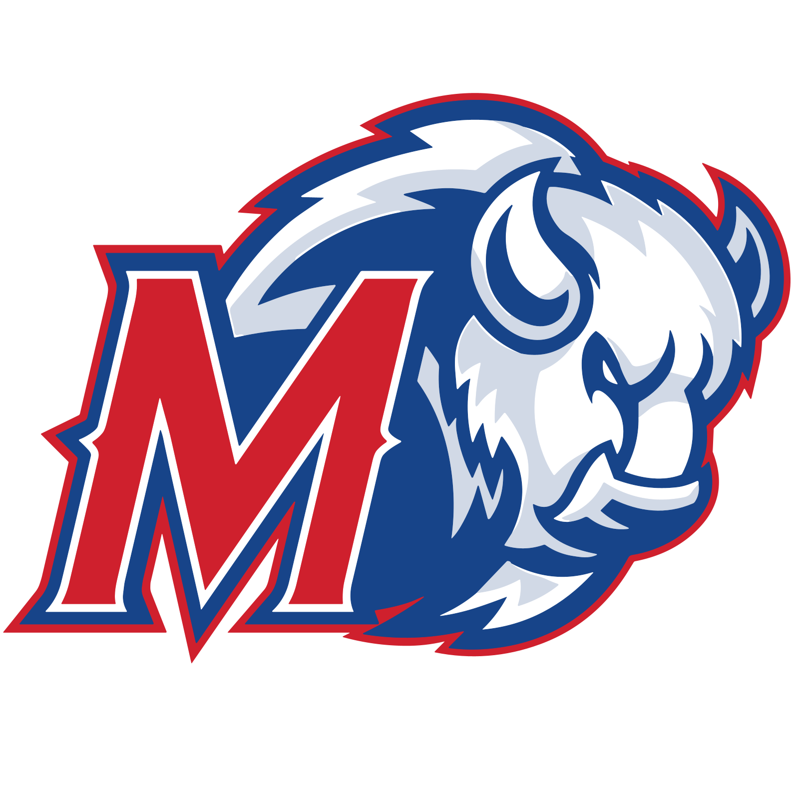 Madras High School