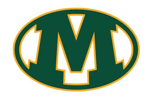 Medina High School