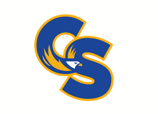 Carl Sandburg High School