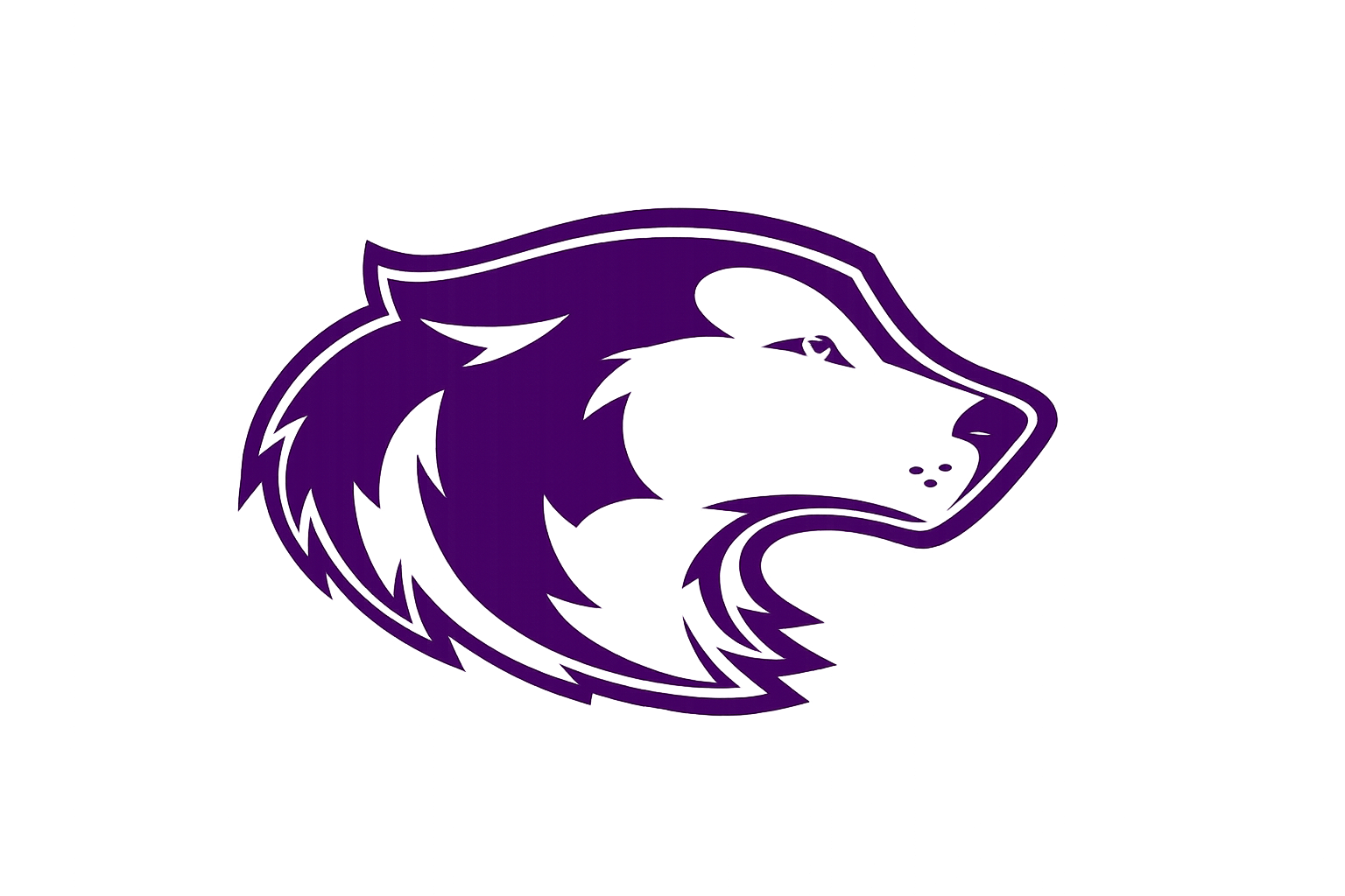 Mt. Hope High School